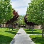 Union 505 Apartments - Albuquerque, NM