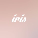 Iris Tattoo Miami - Miami, FL