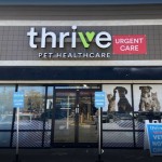 Thrive Pet Healthcare Urgent Care Downtown Denver - Denver, CO