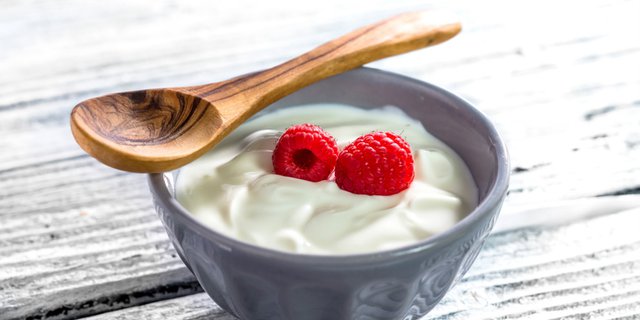 Yogurt for vegetarian snacks