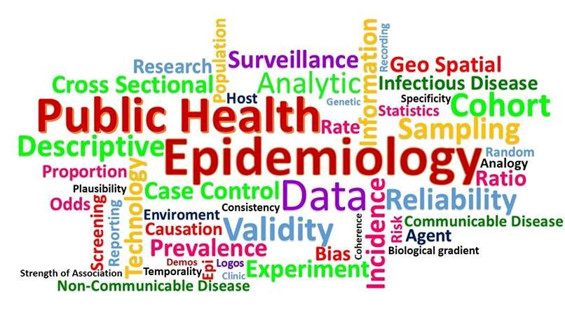 public health epidemiology phd