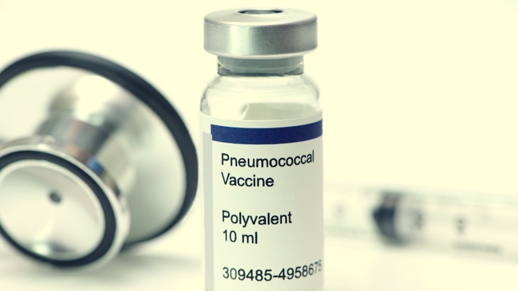 PCV vaccine